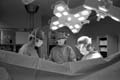 2009_11_0371